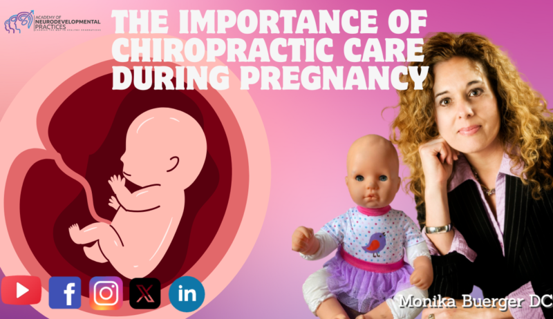 Prenatal Chiro Care