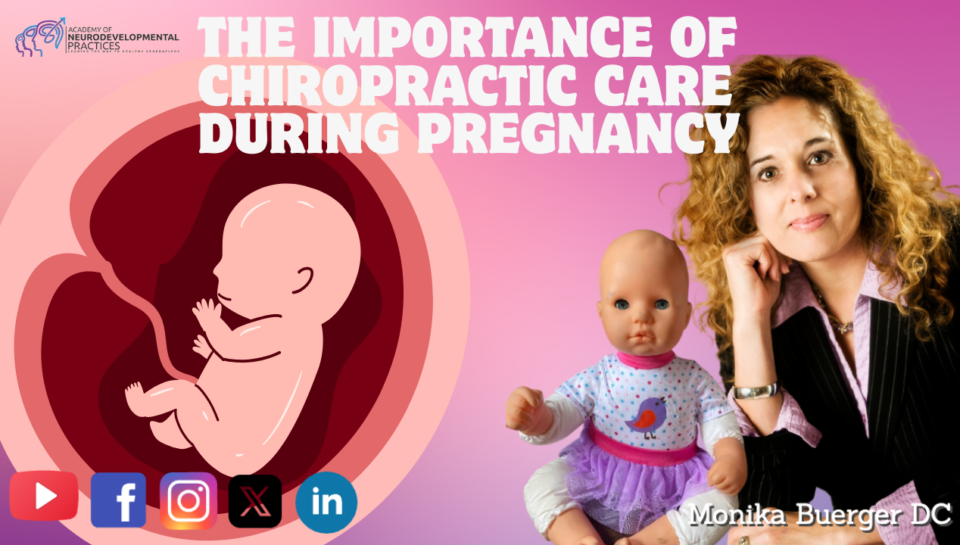 Prenatal Chiro Care
