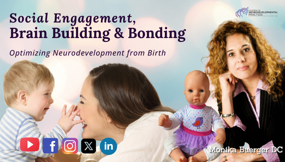 Social Engagement, Brain Building & Bonding