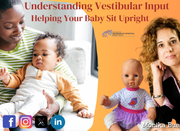 Understanding Vestibular Input