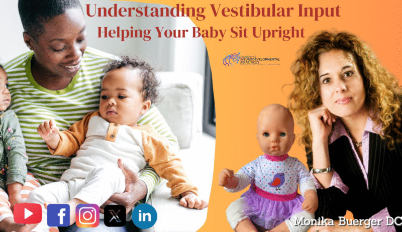 HD_Understanding Vestibular Input Understanding Vestibular Input
