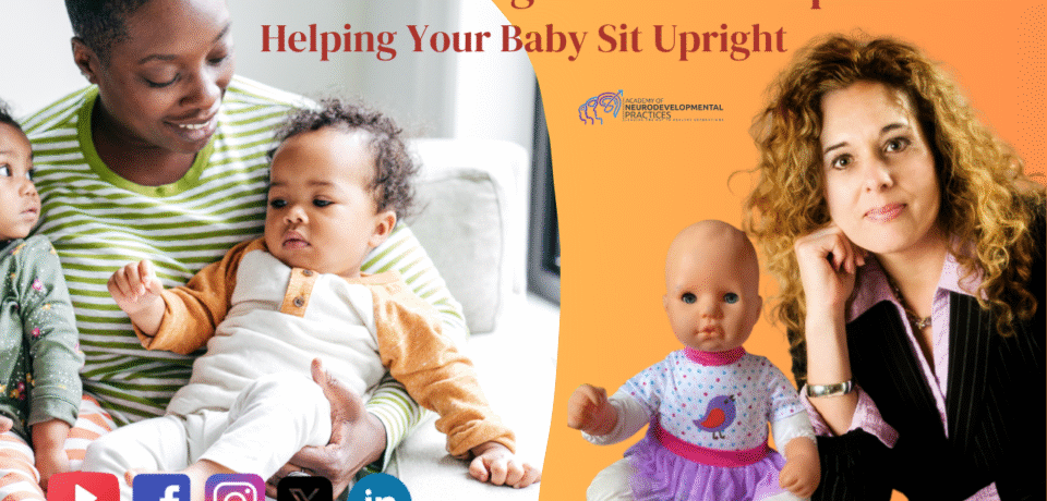 Understanding Vestibular Input