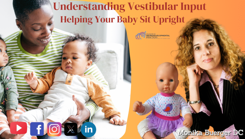 Understanding Vestibular Input