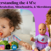 Understanding the 4 M's
