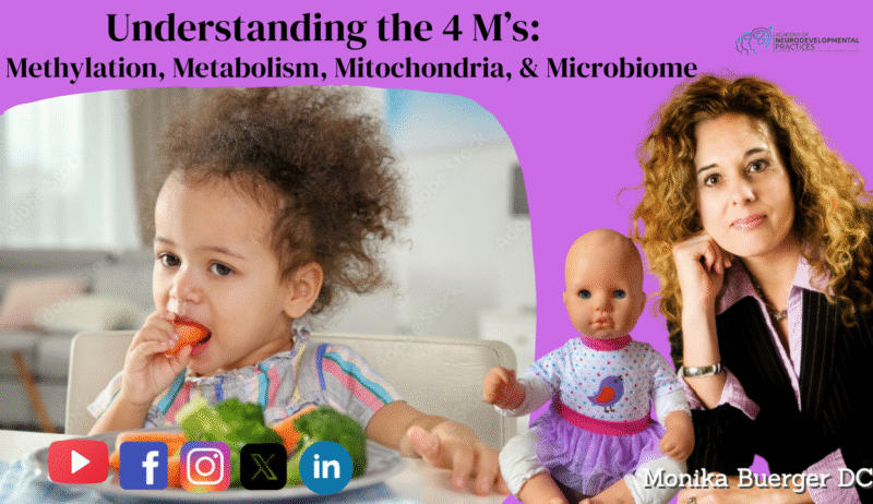 SQ_Undwestanding the 4 Ms Understanding the 4 M's