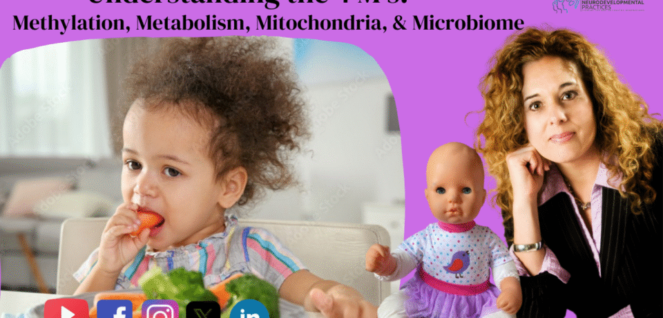 Understanding the 4 M's