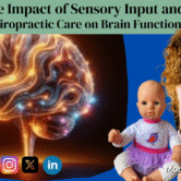 The Impact of Sensory Input and Chiropractic Care on Brain Function