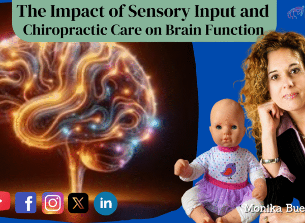 HD_The Impact of Sensory Input and Chiropractic Care on Brain Function The Impact of Sensory Input and Chiropractic Care on Brain Function