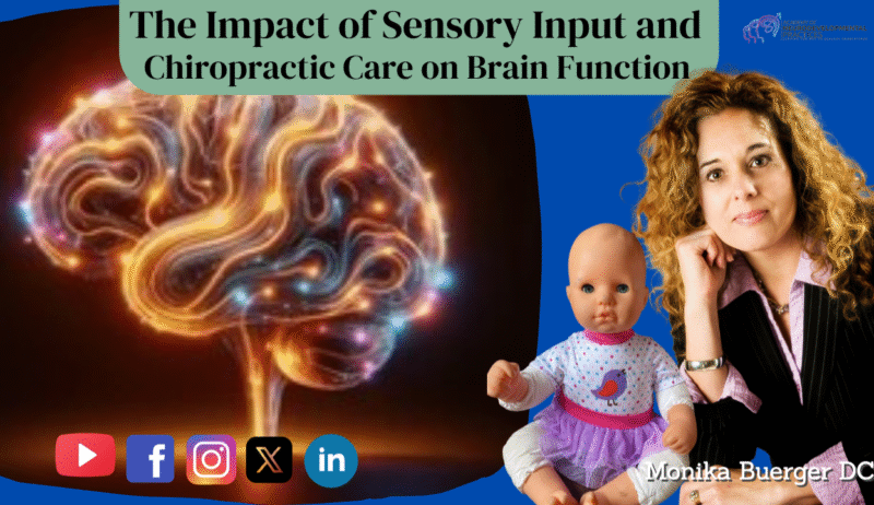The Impact of Sensory Input and Chiropractic Care on Brain Function