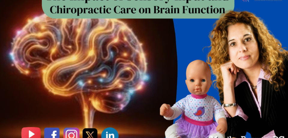 The Impact of Sensory Input and Chiropractic Care on Brain Function