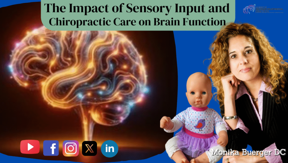The Impact of Sensory Input and Chiropractic Care on Brain Function