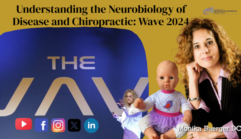 Understanding the Neurobiology of Disease and Chiropractic: Wave 2024