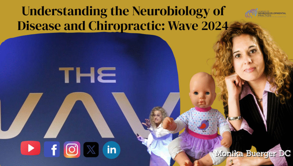 Understanding the Neurobiology of Disease and Chiropractic: Wave 2024