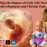 Understanding the Impact of Early Life Stress on Neurodevelopment and Chronic Pain