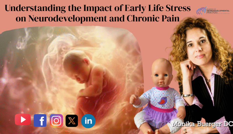 Understanding the Impact of Early Life Stress on Neurodevelopment and Chronic Pain