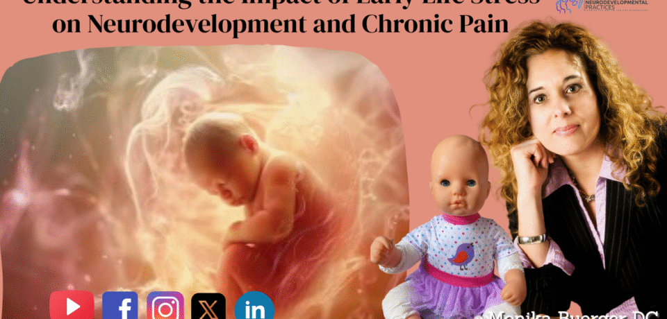 Understanding the Impact of Early Life Stress on Neurodevelopment and Chronic Pain