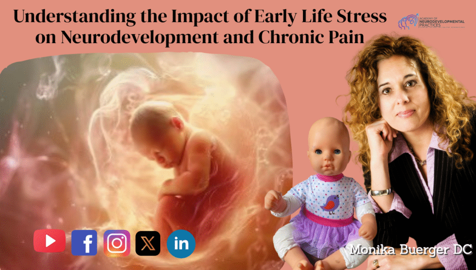Understanding the Impact of Early Life Stress on Neurodevelopment and Chronic Pain